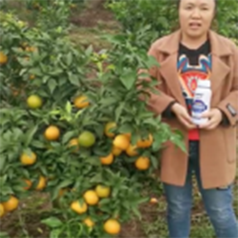 客戶(hù)反饋